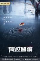 《风过留痕》免费在线观看全集-国产剧